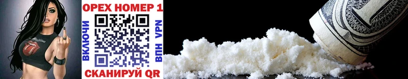 Cocaine Fish Scale  Купить закладки  Ростов-на-Дону 
