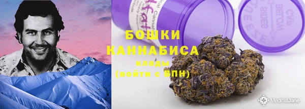 твердый Верхний Тагил