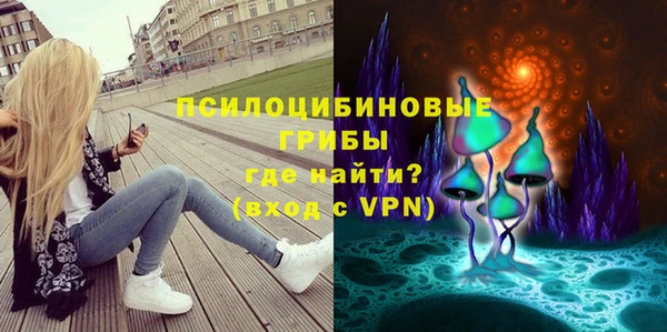 мет Бородино