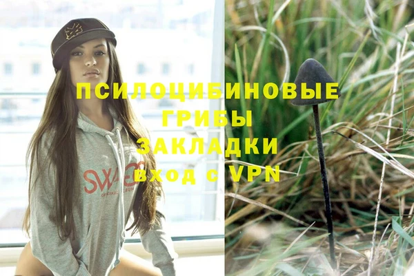твердый Верхний Тагил