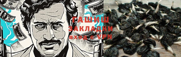 PSILOCYBIN Верея