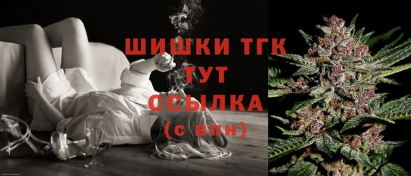 PSILOCYBIN Верея
