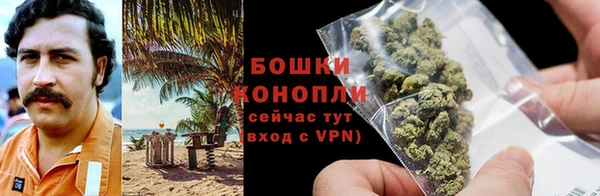 PSILOCYBIN Верея