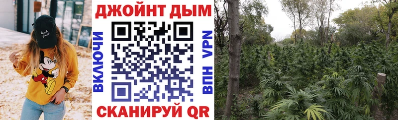Купить  Ростов-на-Дону  Конопля Amnesia 